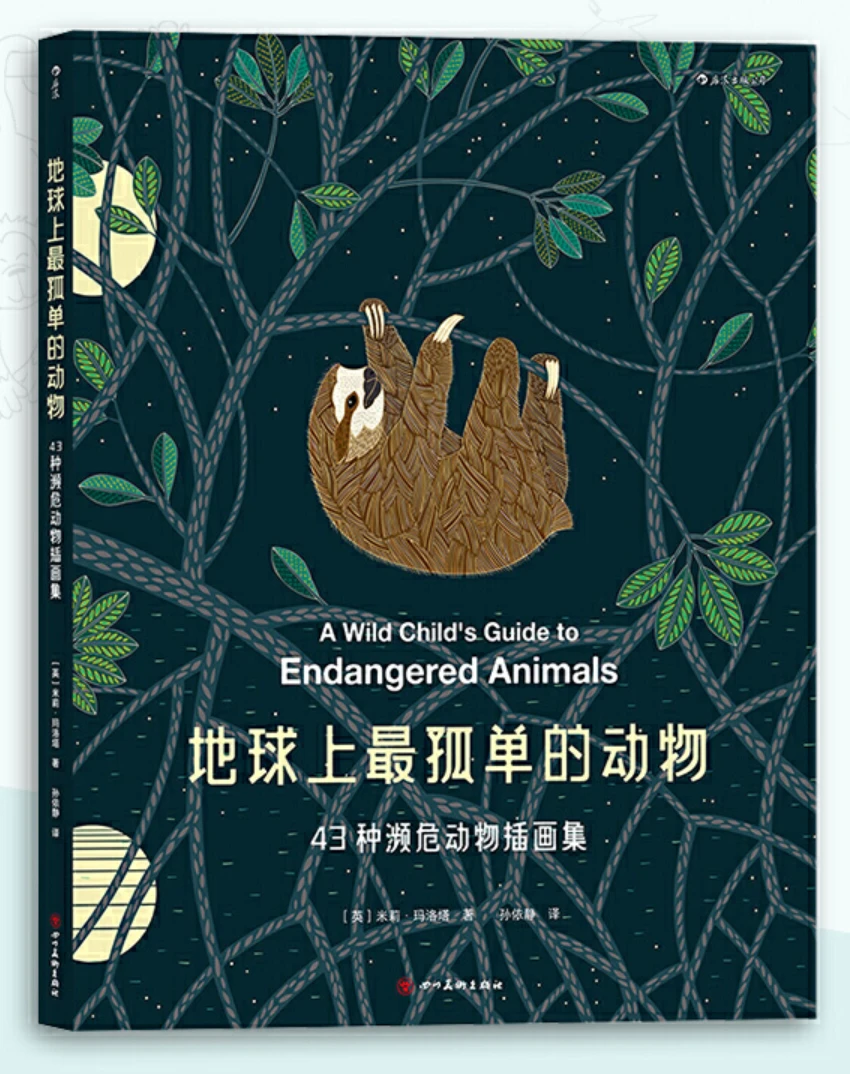 职业篮球教练如何制定有效的赛制训练计划?_1
